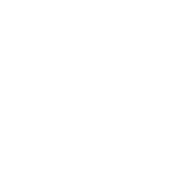 icon-instagram