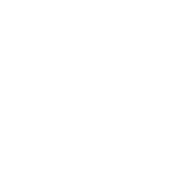 icon-linkedin