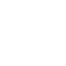 icon-whatsapp